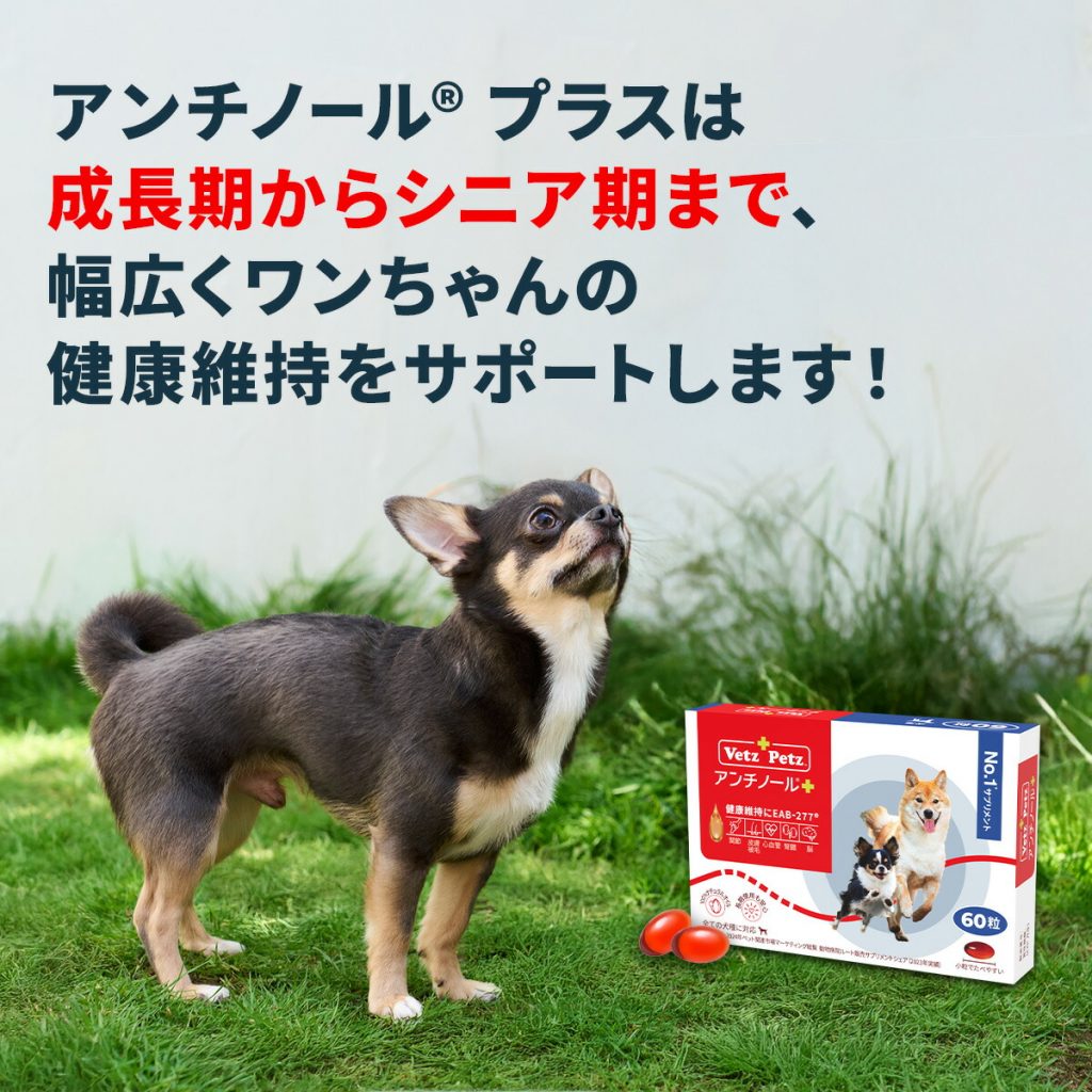 アンチノール プラス 犬用 60粒