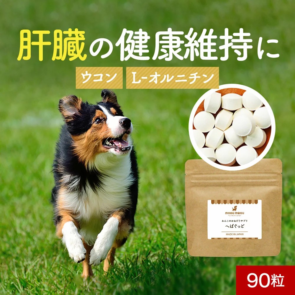 わんこのおねだりサプリ へぱぐっど 90粒