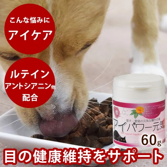 アイパワー元気 犬猫用 60g