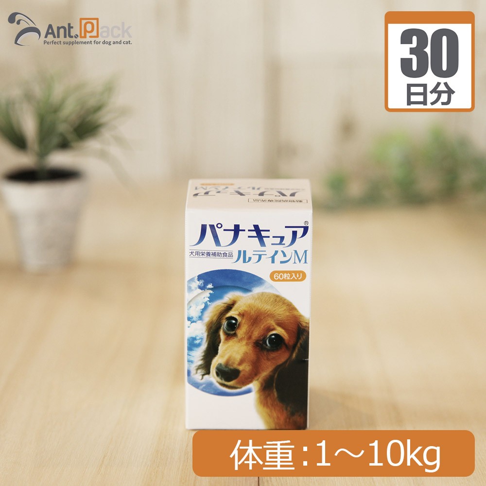 明治製菓 パナキュアルテインM 犬用（体重1kg〜10kg 1日1カプセル30日分）