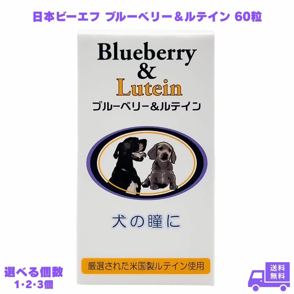 日本ビーエフ ブルーベリー&ルテイン 60粒