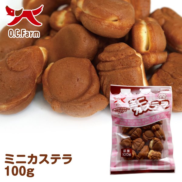 ミニカステラ 100g