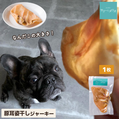豚耳姿干し 1枚 国産