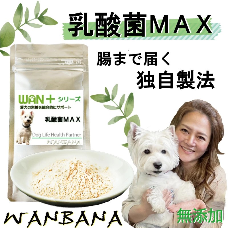 犬猫用サプリメント 乳酸菌MAX 50g