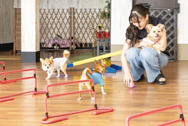 愛犬の駅 伊豆高原