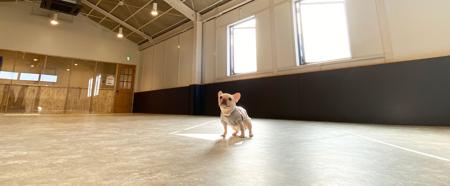 BOOH フレブル専門店