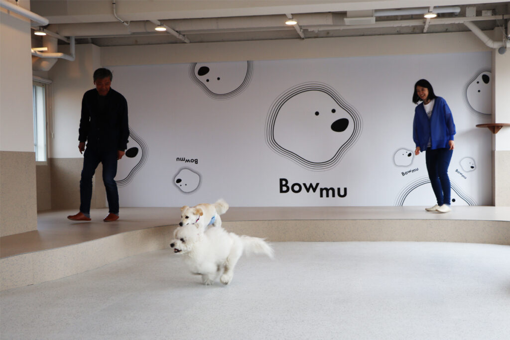 Bowmu 室内ドッグラン
