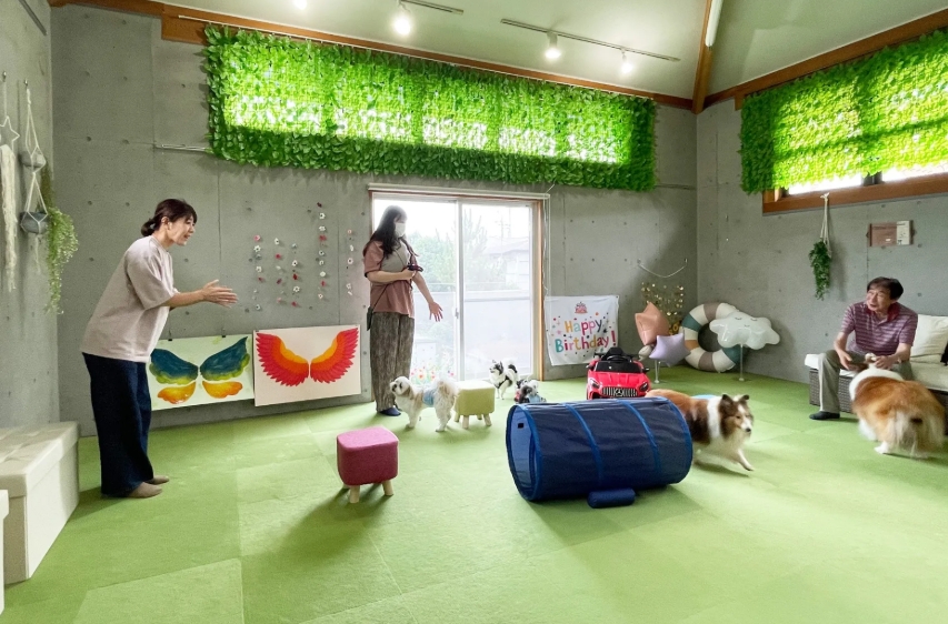 Cafe & Resto Cherry with Dog