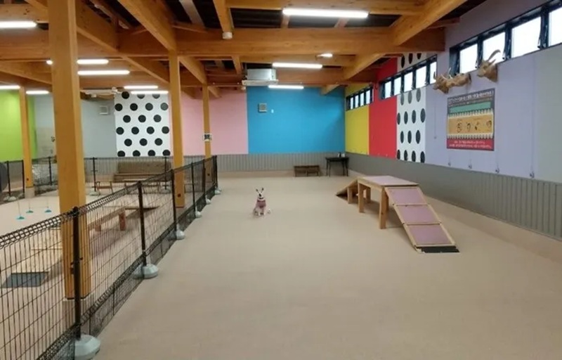 DOG AMUSEMENT NINE 室内ドッグラン