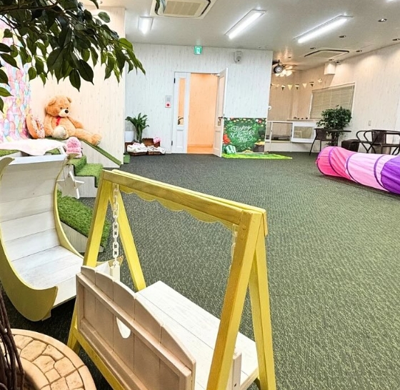 Dog Cafe & Park Bliss Wacha