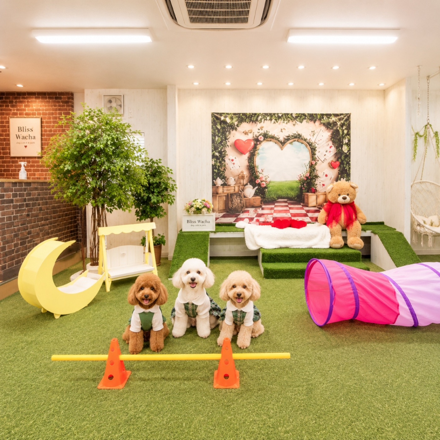 Dog Cafe & Park Bliss Wacha 室内ドッグラン
