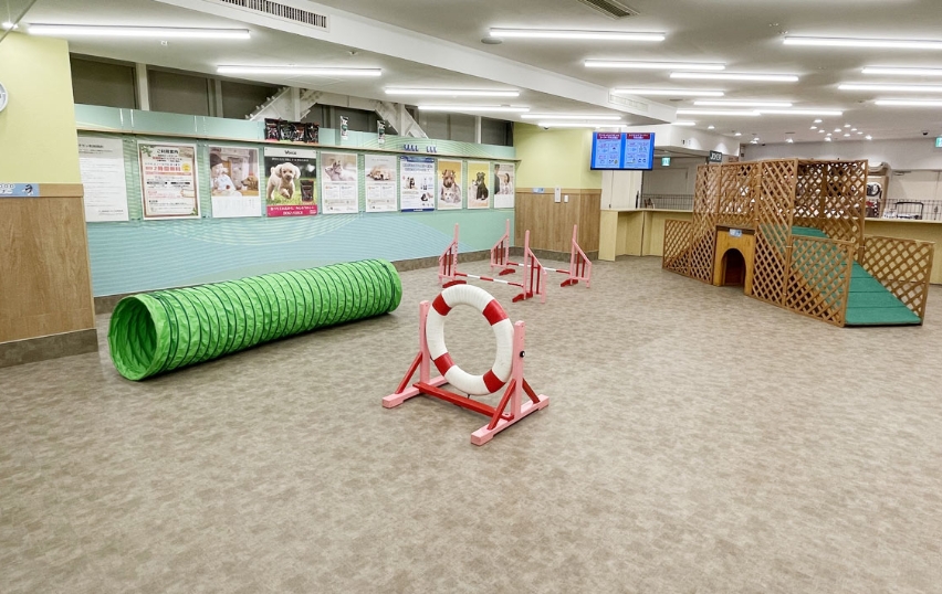 DOG&CAT JOKER コピス吉祥寺店