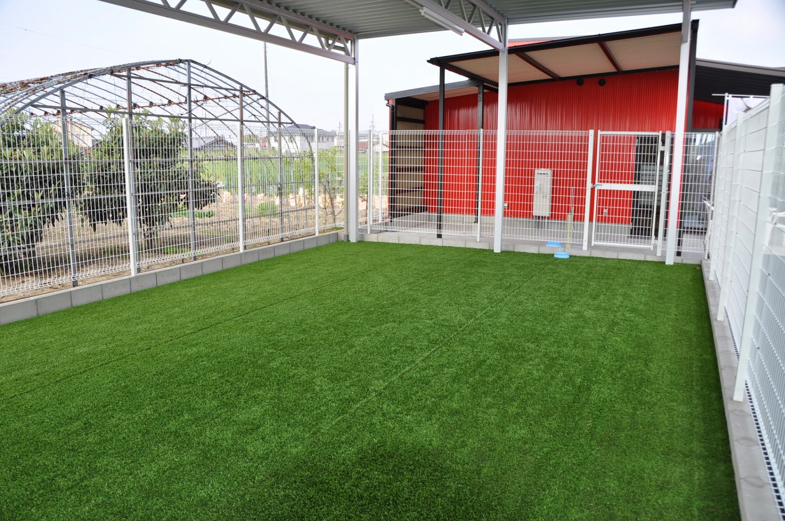 ドッグフォレスト江南