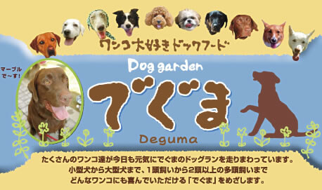 ドッグガーデンでぐま