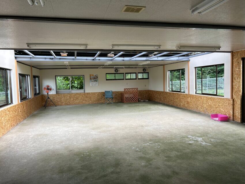 ドッグランドK 室内ドッグラン