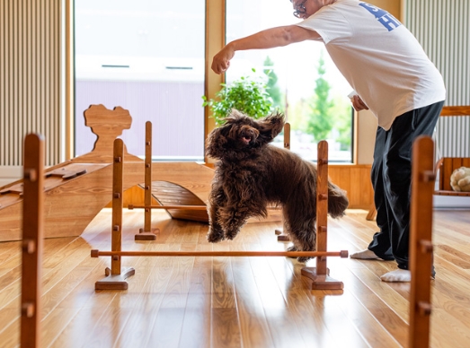 ドッグルハウス