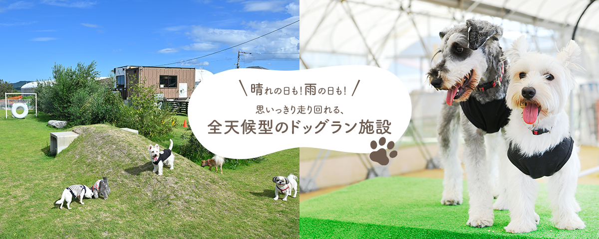 テイクアウト&ドッグラン88の屋内ドッグラン