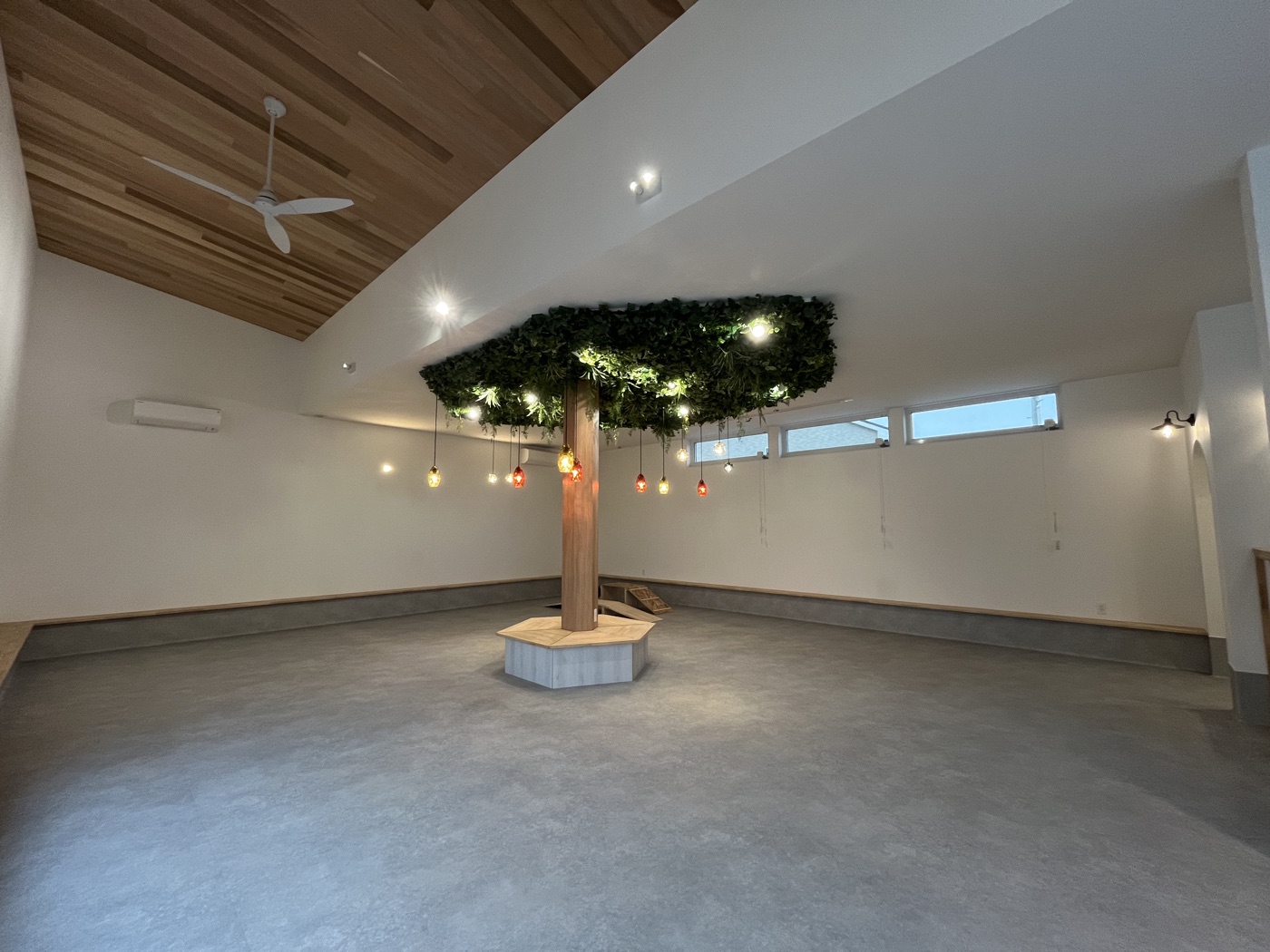 Dog Run Wellness 屋内ドッグランの様子