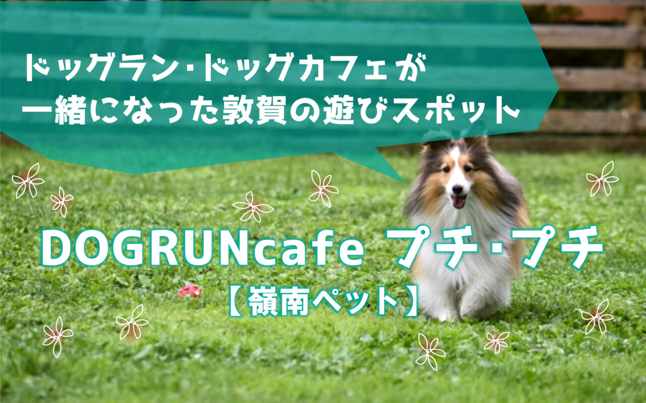 DOGRUNcafe プチ・プチ