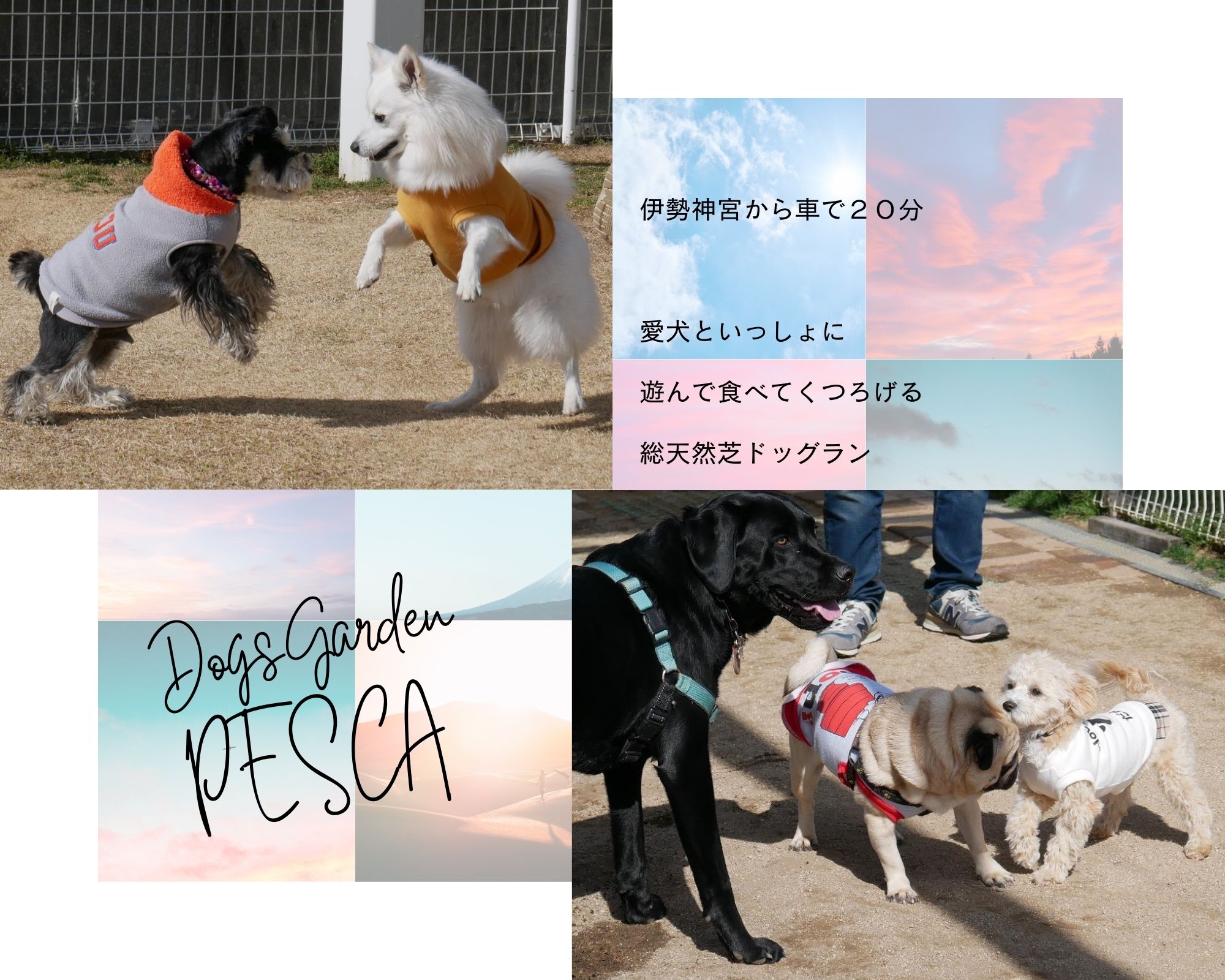 ドッグスガーデン ペスカのドッグラン