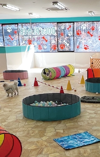 Dog's Rest Place