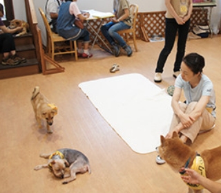 GREEN DOG & CAT 神戸本店