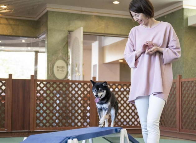 浜名湖わんわんパラダイスホテル