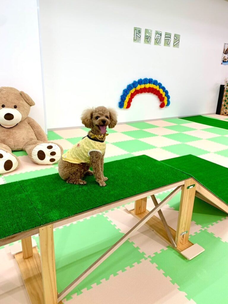 ハッピー譲渡会