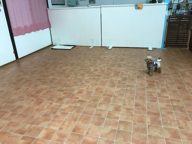 はるのガーデン