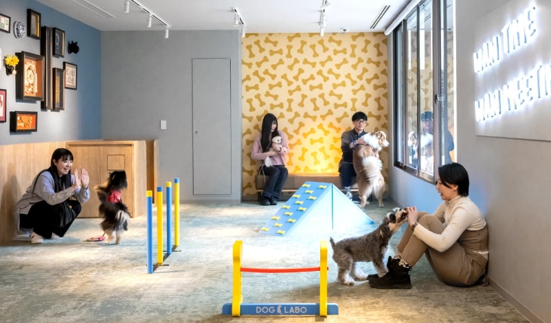 hotel anddoggy 京都二条