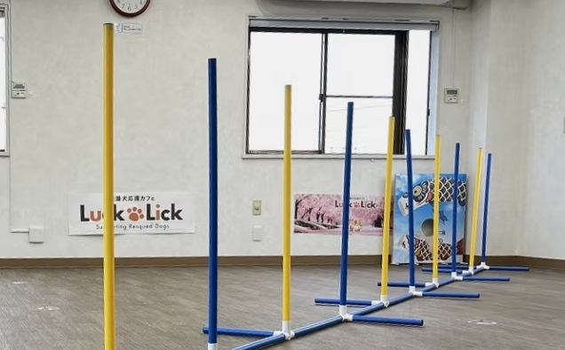 Luck Lick