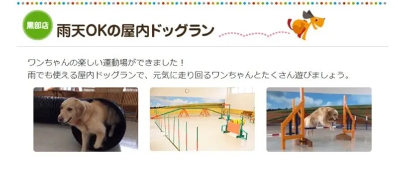 ペットショップマーチ 黒部店 室内ドッグラン