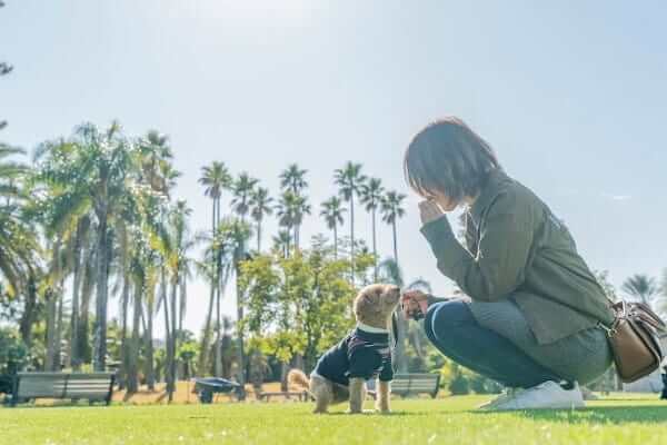 Mignon 室内ドッグラン