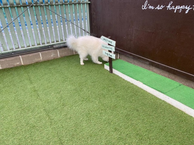 みつまめ倶楽部