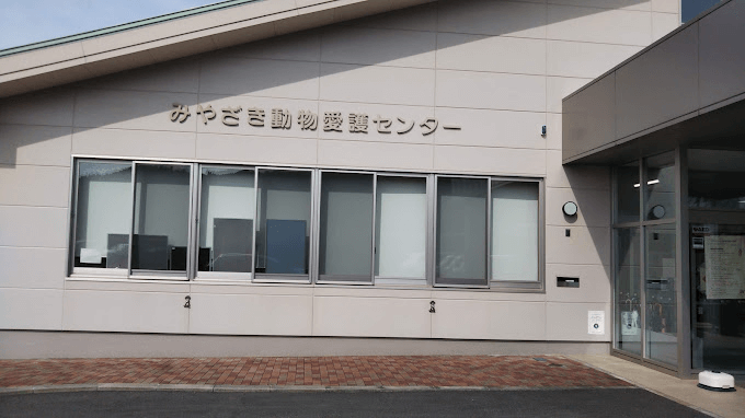 宮崎県動物愛護センター 屋根付きドッグラン