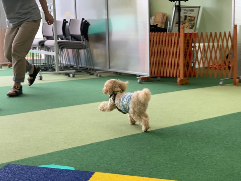 Animal World NICO PET 横浜瀬谷店