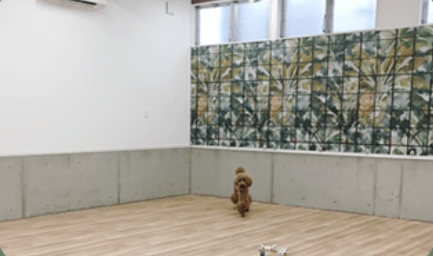 ペットサロンISSYO