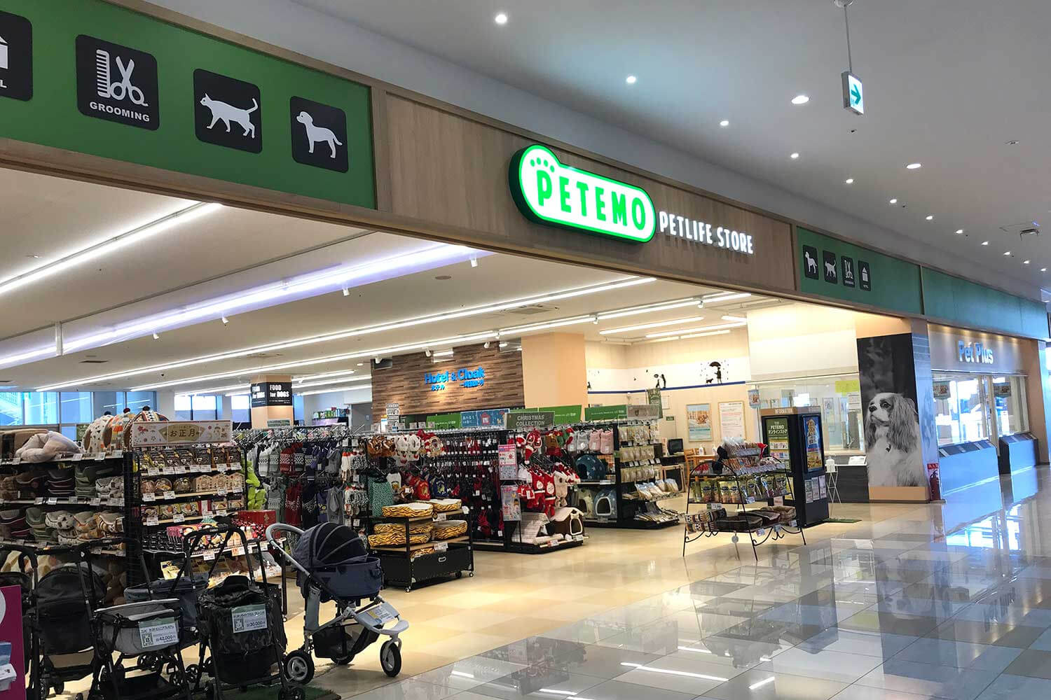 ペテモ姶良店 室内ドッグラン