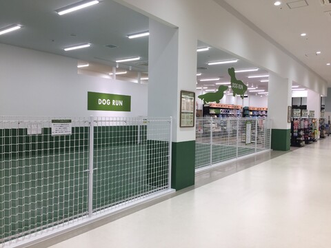ペテモ木更津店