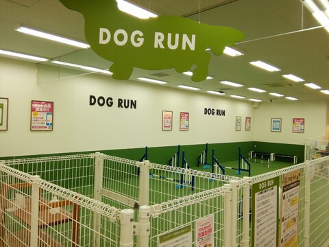 ペテモつがる柏店 室内ドッグラン