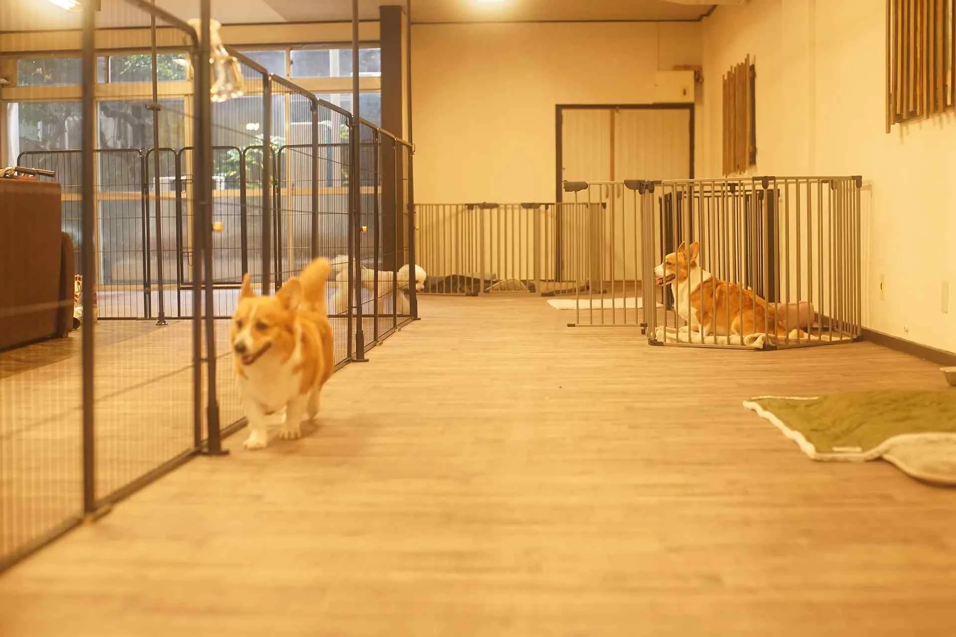 ペットサロン＆ホテル ぽんと