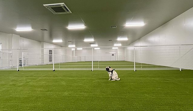 SoloioSpace with Dog 室内ドッグラン