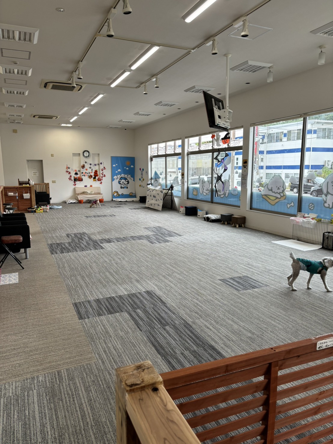 わんランroomSoRa 室内ドッグラン