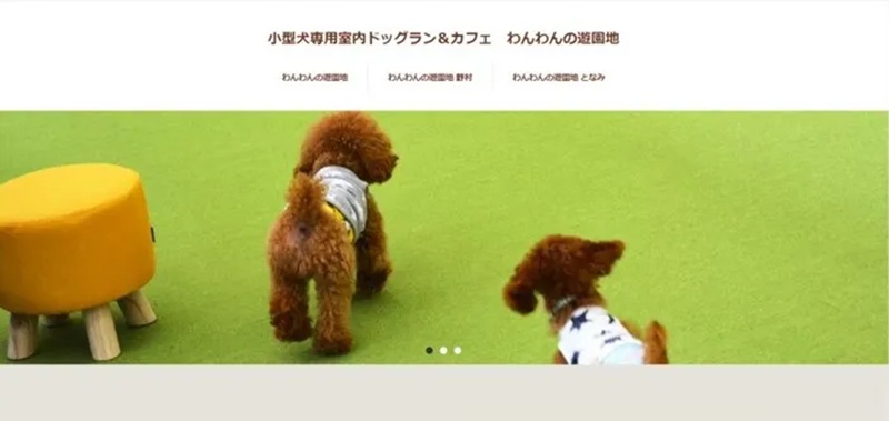 わんわんの遊園地 となみ 室内ドッグラン
