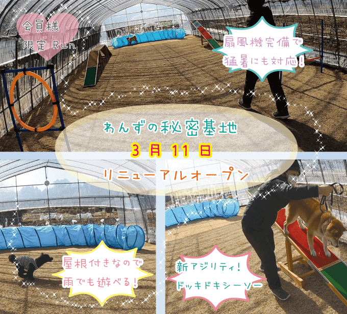 Wildわんず倶楽部
