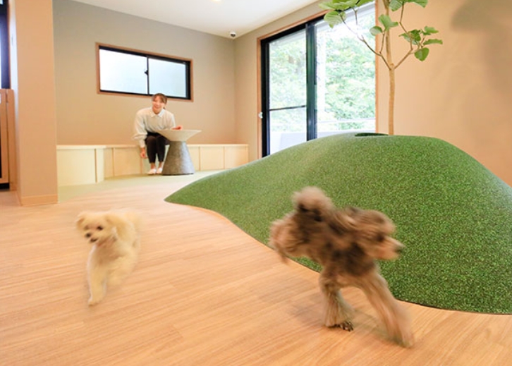 ゆるり箱根with DOGS